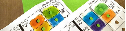 Color Coordination with Peek-a-Hue Color Charts